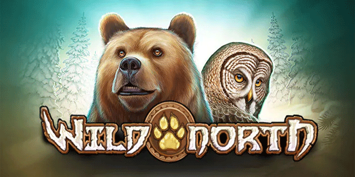 Tips Rahasia Dapatkan Cuan Besar Bermain Slot Wild North
